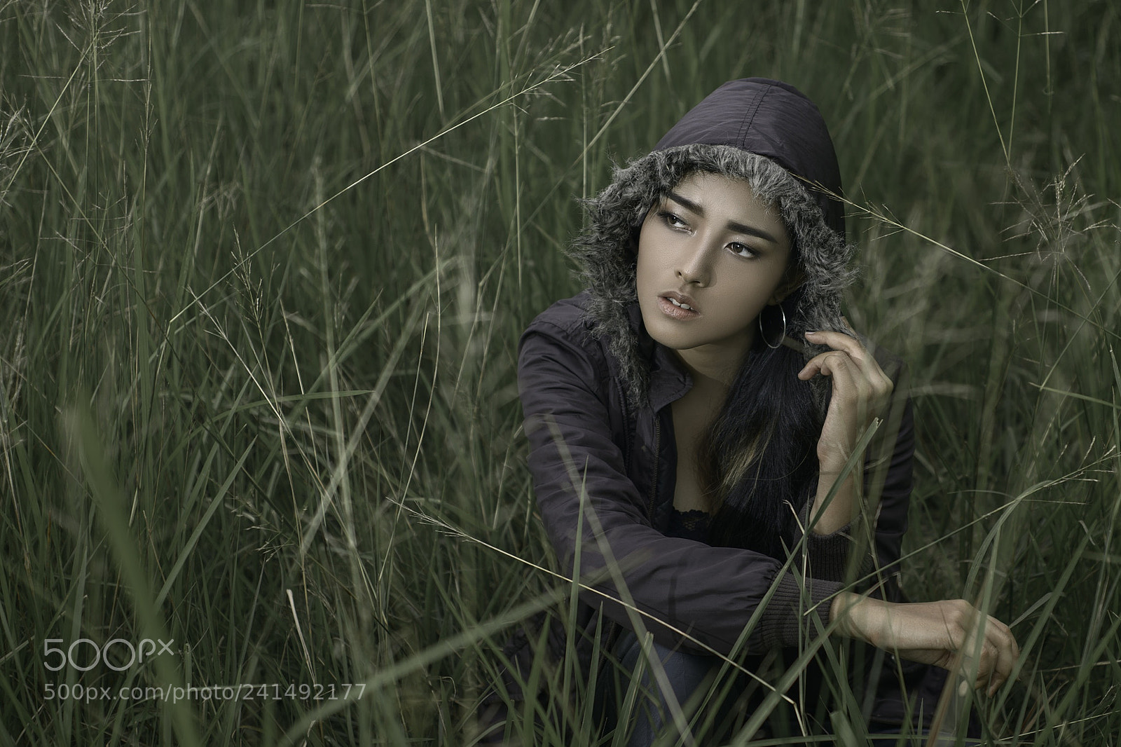 Nikon D800 sample photo. Untitled photography
