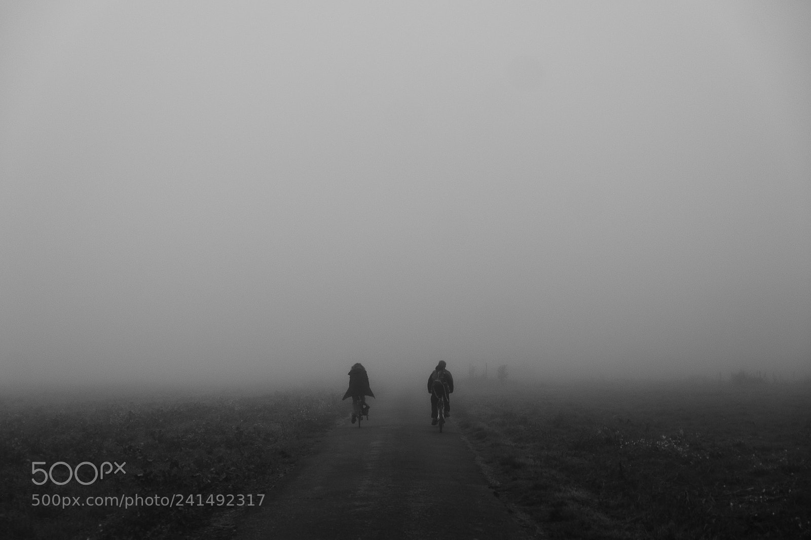 Fujifilm X-E2 sample photo. Early morning photography