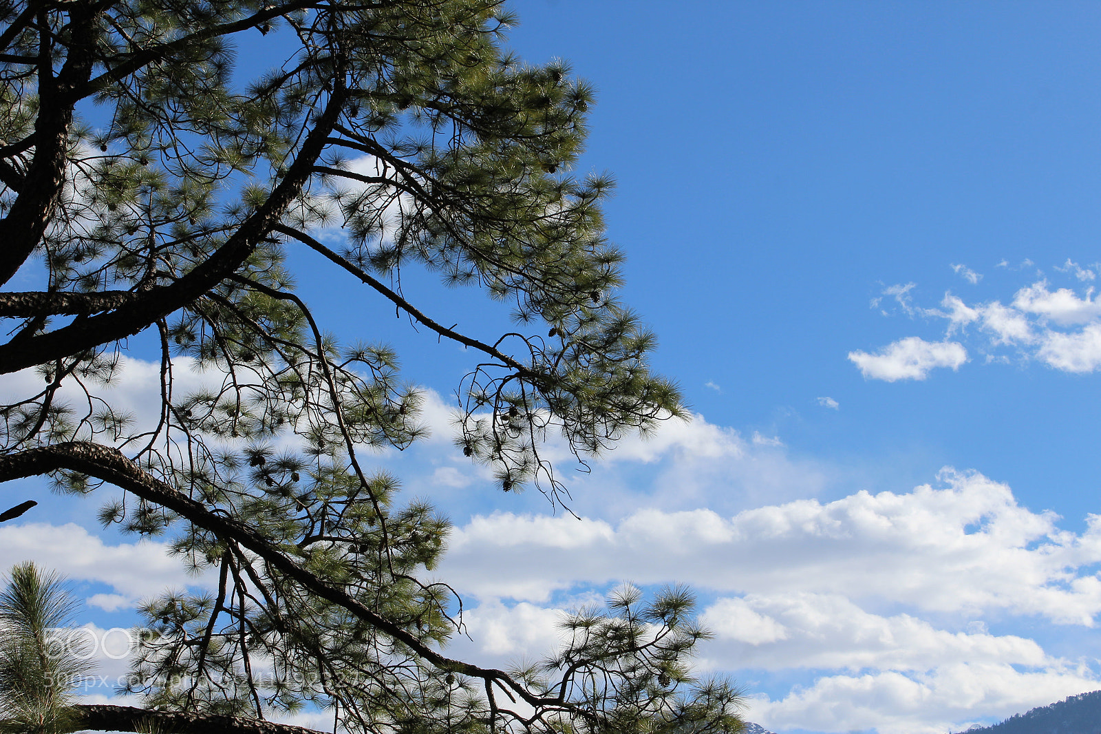 Canon EOS 1200D (EOS Rebel T5 / EOS Kiss X70 / EOS Hi) sample photo. Beautiful day photography