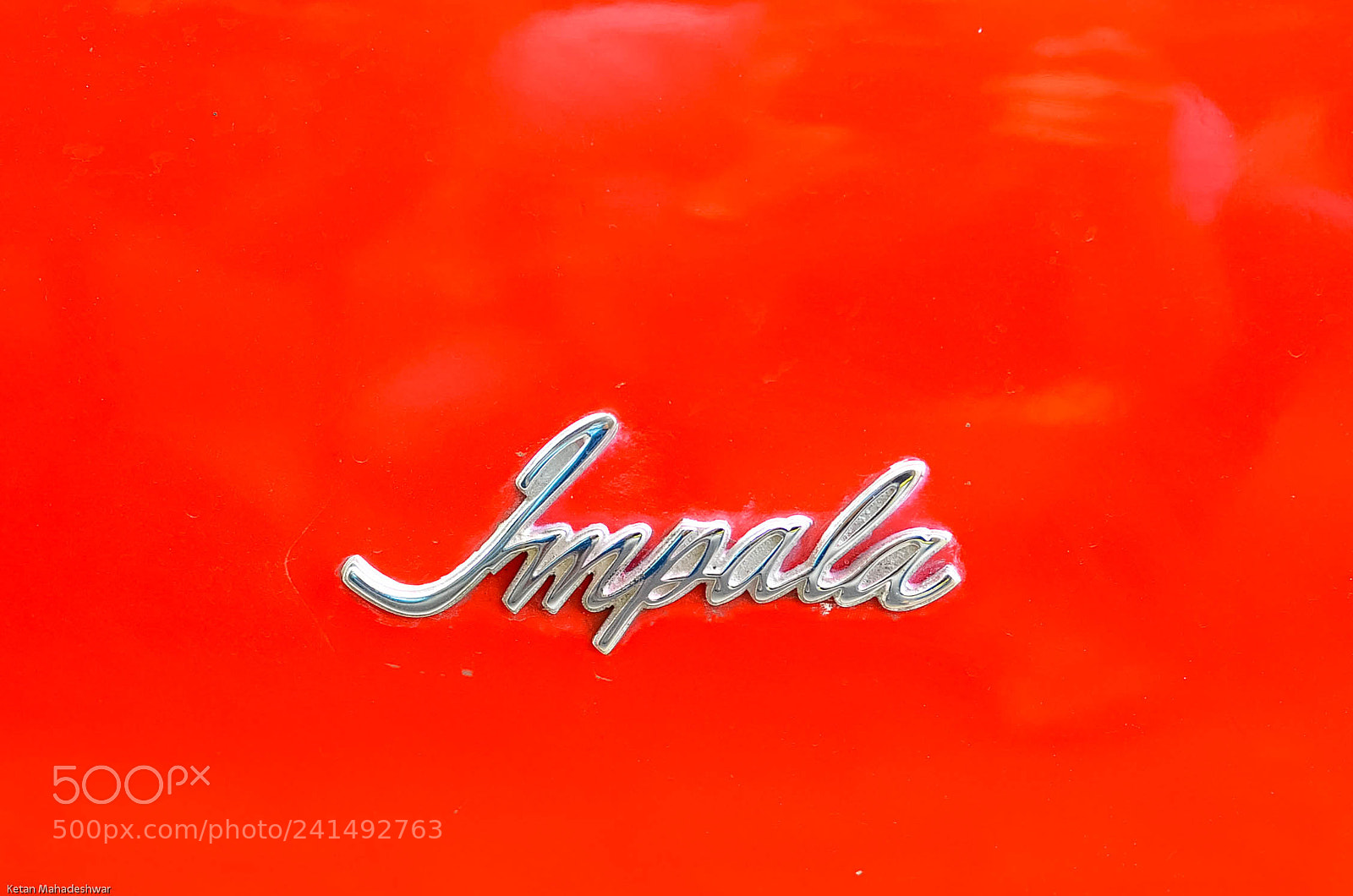 Nikon D7000 sample photo. Impala photography