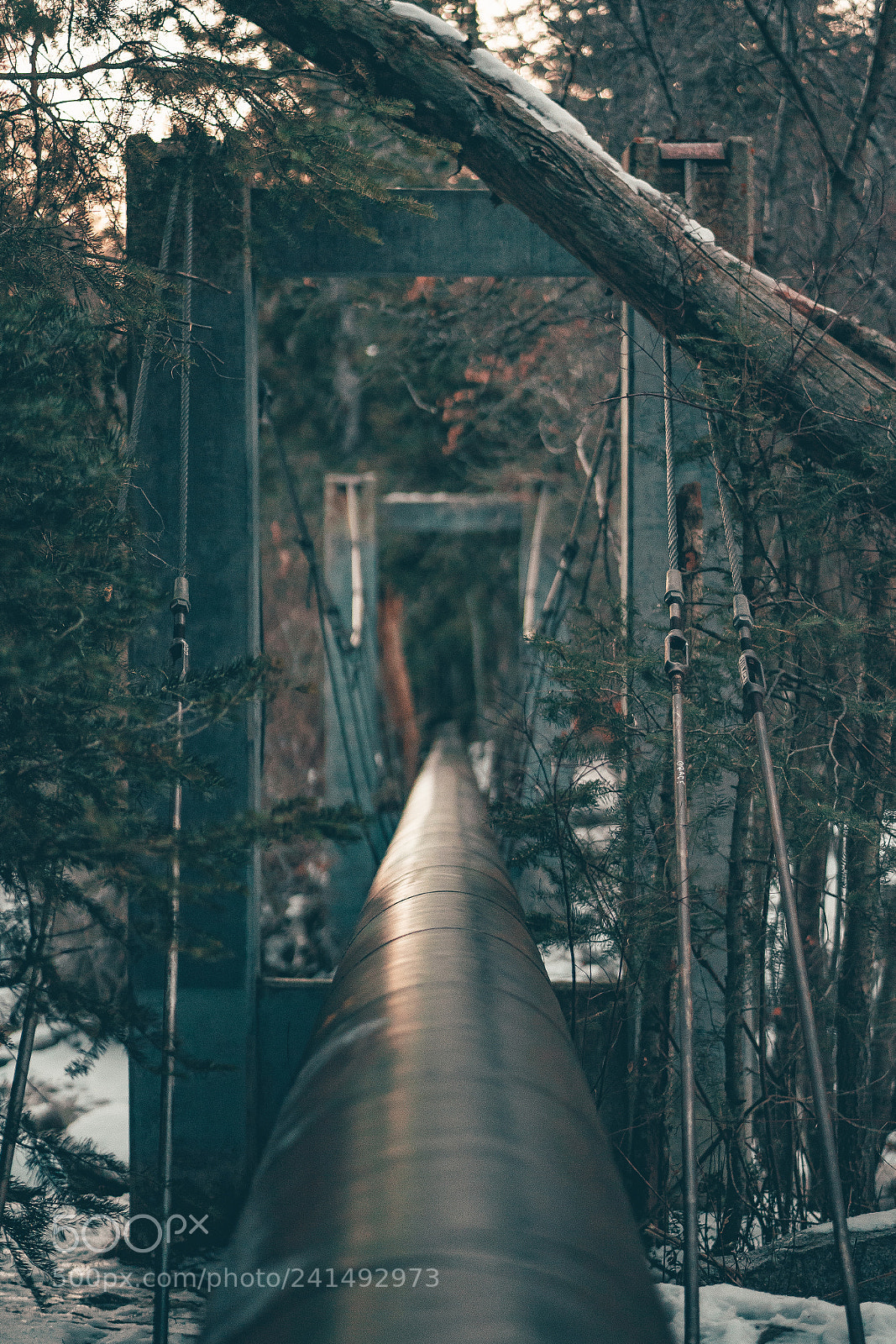 Sony a7 II sample photo. Path to nirvana photography