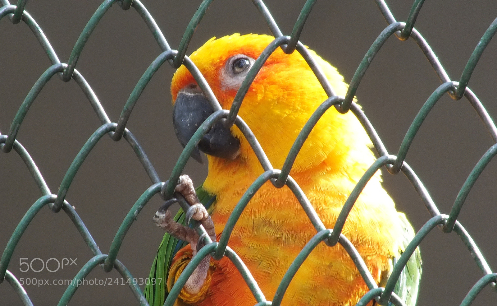 Fujifilm FinePix HS30EXR sample photo. Waiting for freedom photography