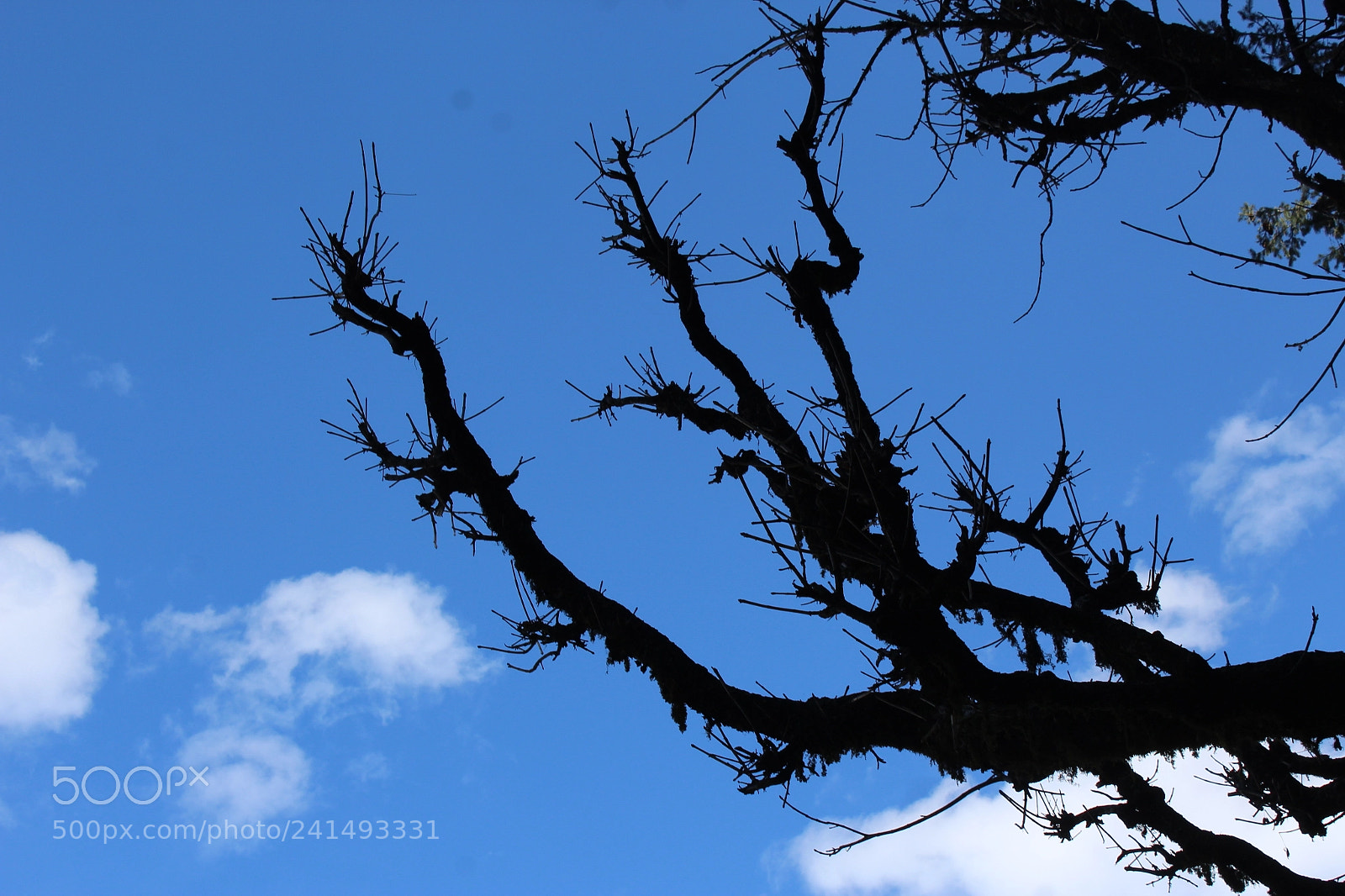 Canon EOS 1200D (EOS Rebel T5 / EOS Kiss X70 / EOS Hi) sample photo. Cloudscape photography