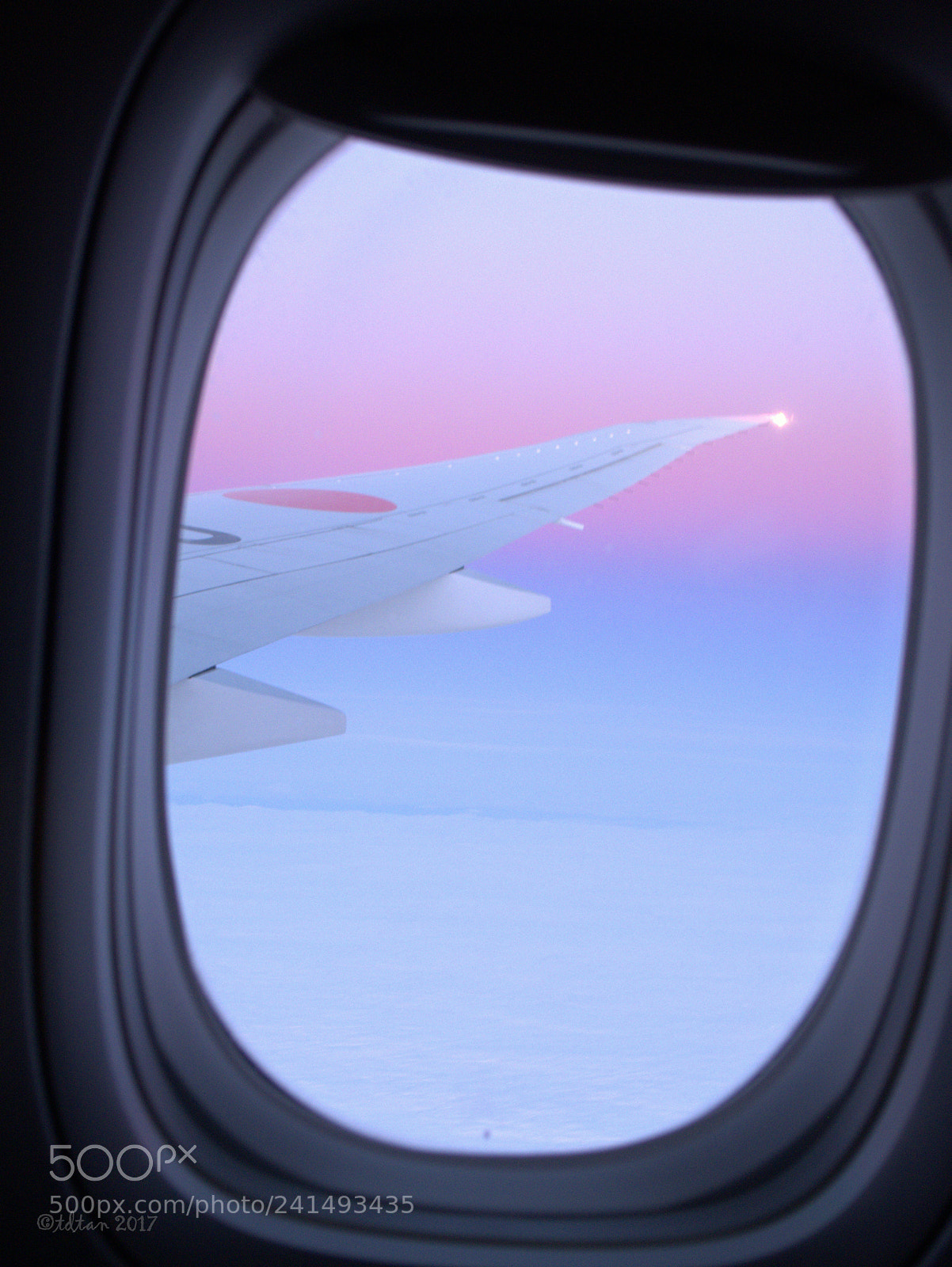 Panasonic Lumix DMC-LX7 sample photo. Dream flight or flight photography