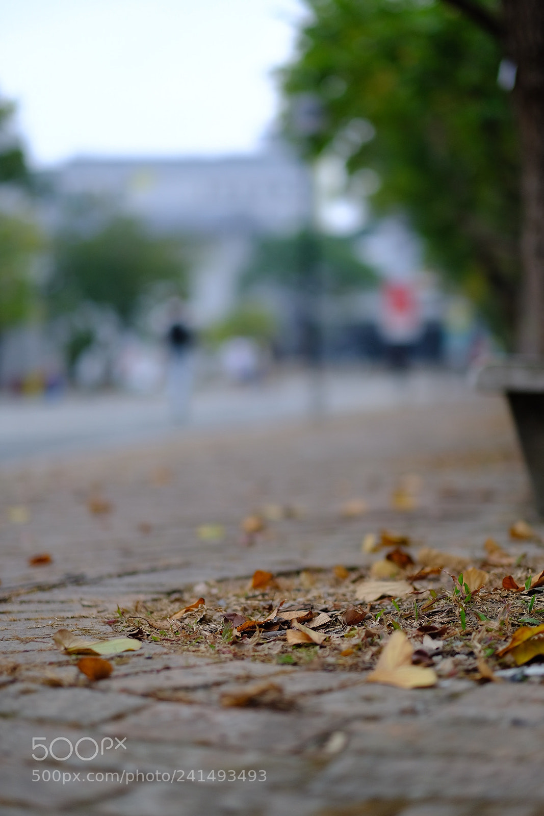 Fujifilm X-T2 sample photo. Untitled photography