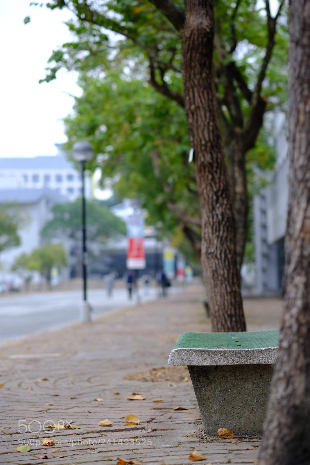 Fujifilm X-T2 sample photo. Untitled photography