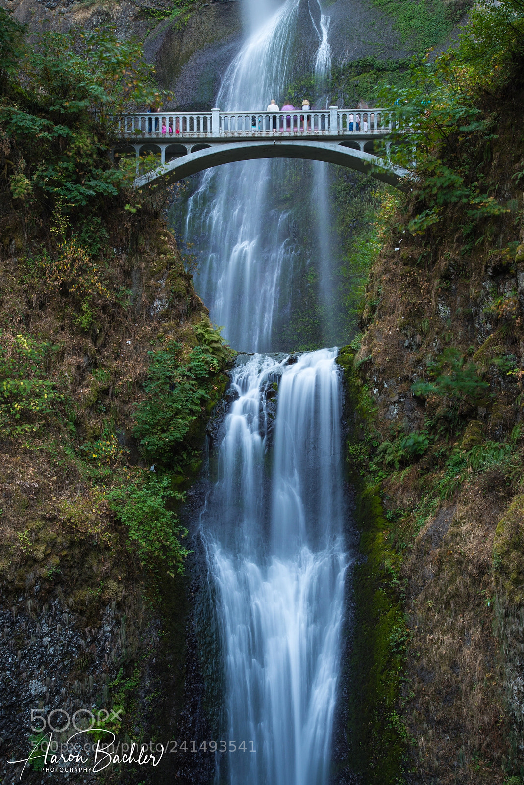 Nikon D600 sample photo. Multnomah falls photography