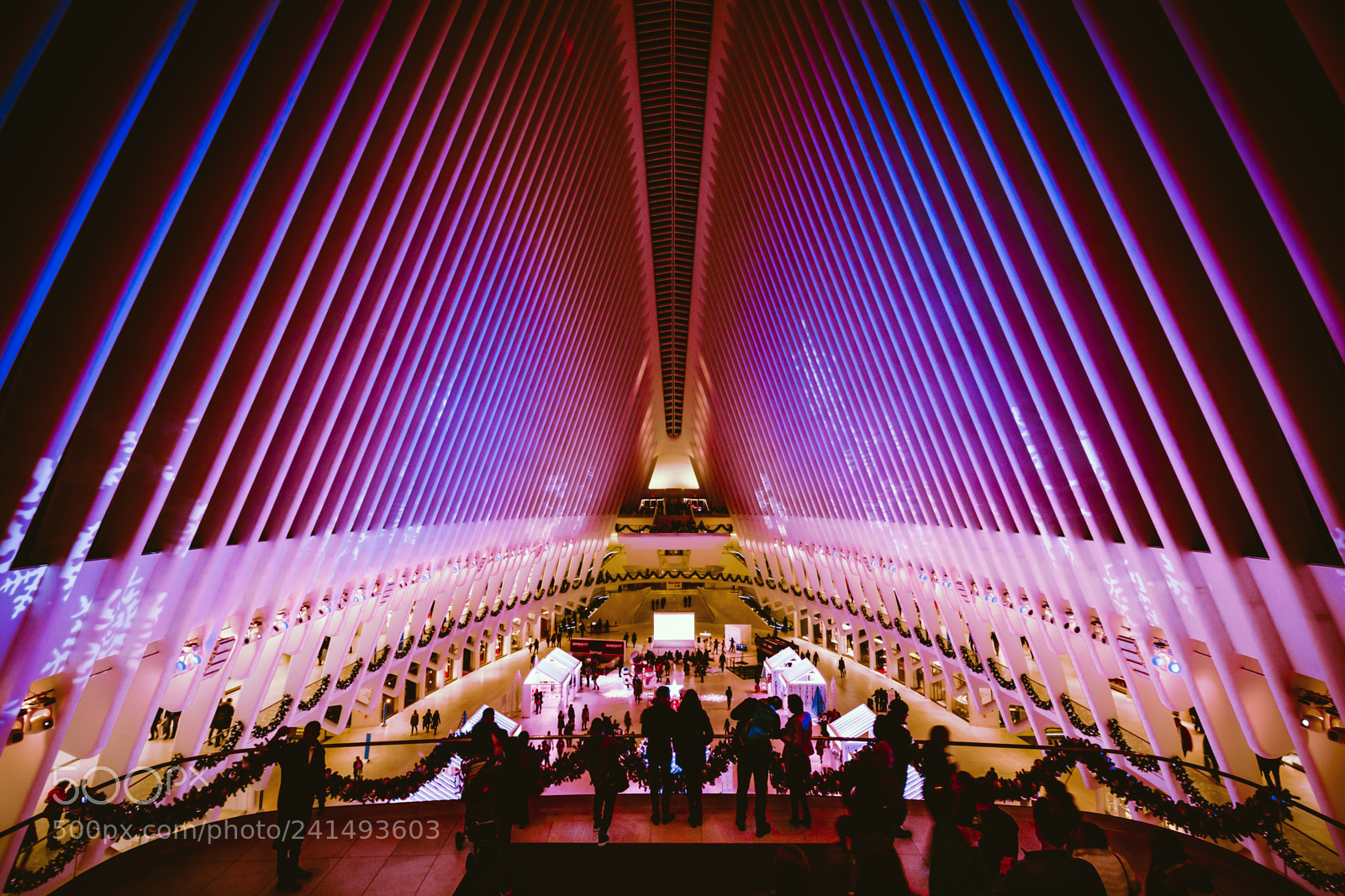 Nikon D7100 sample photo. The oculus photography