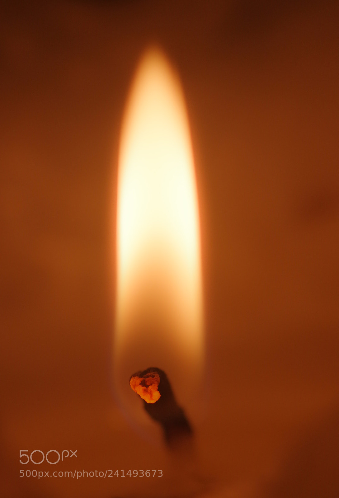 Pentax K-3 sample photo. Warmth photography