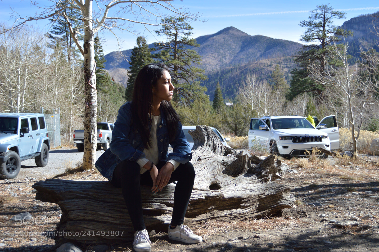 Nikon D3200 sample photo. Untitled photography