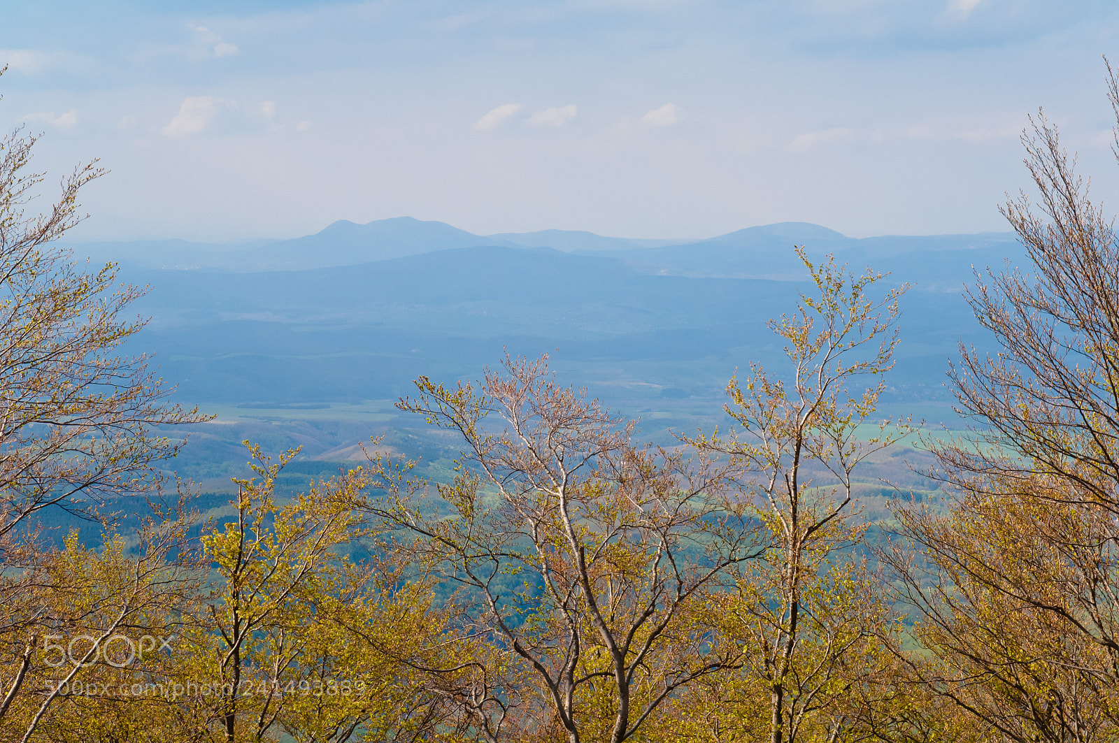 Nikon D2X sample photo. Autumn forest and mountain photography