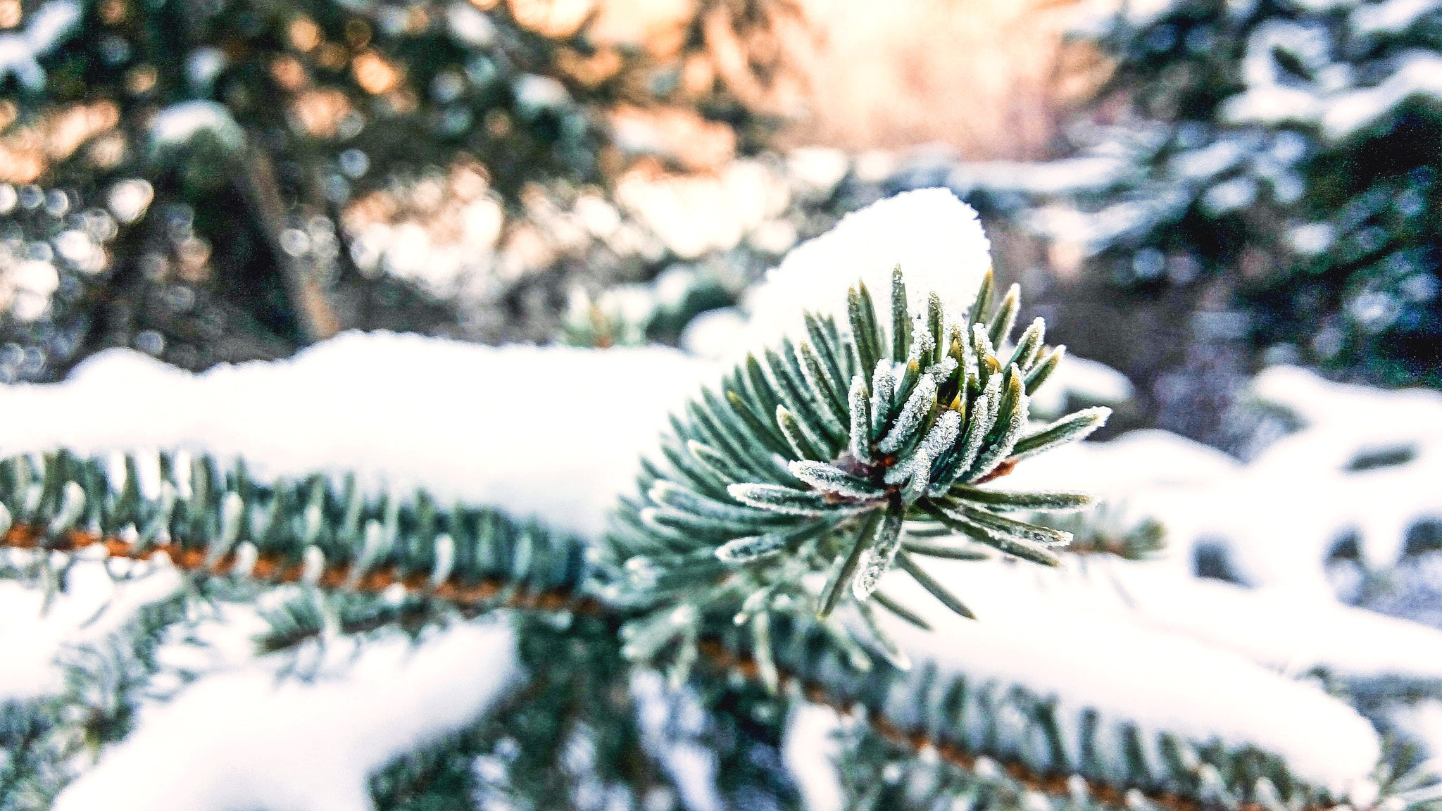 Meizu m2 note sample photo. After snow photography