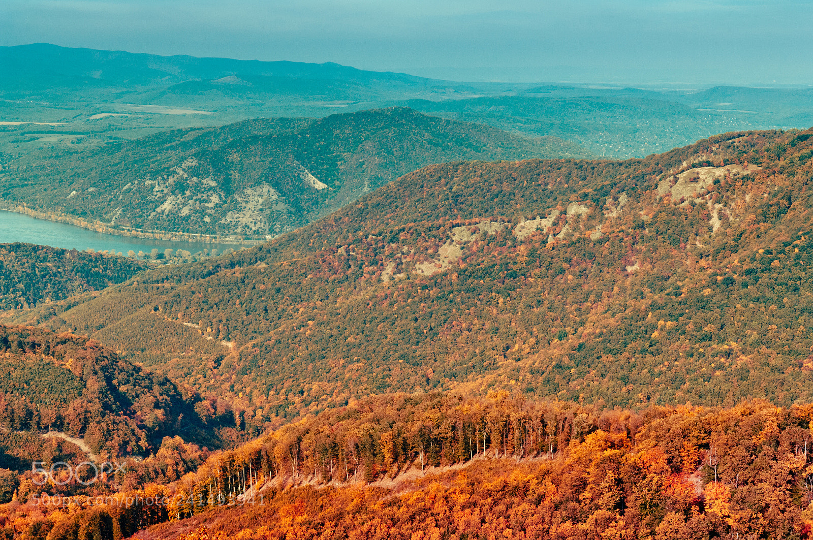 Nikon D2X sample photo. Autumn forest view in photography