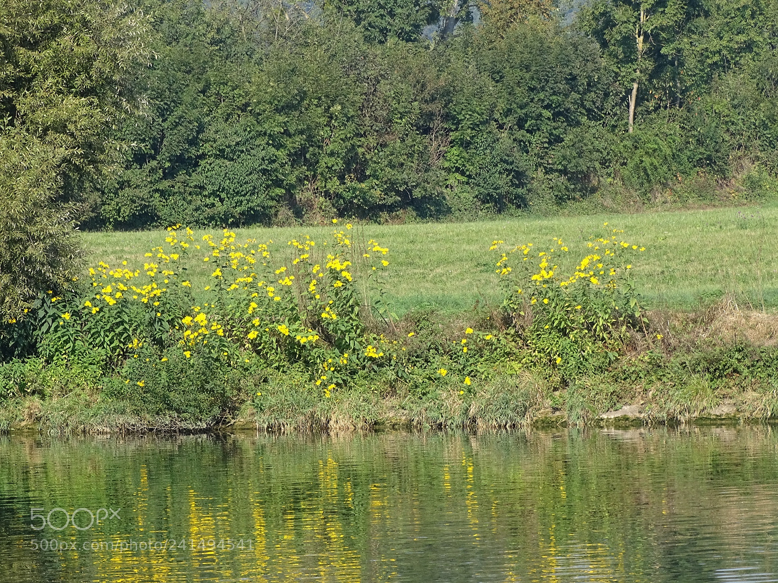 Sony Cyber-shot DSC-HX400V sample photo. Cdea aaba fddaafc photography