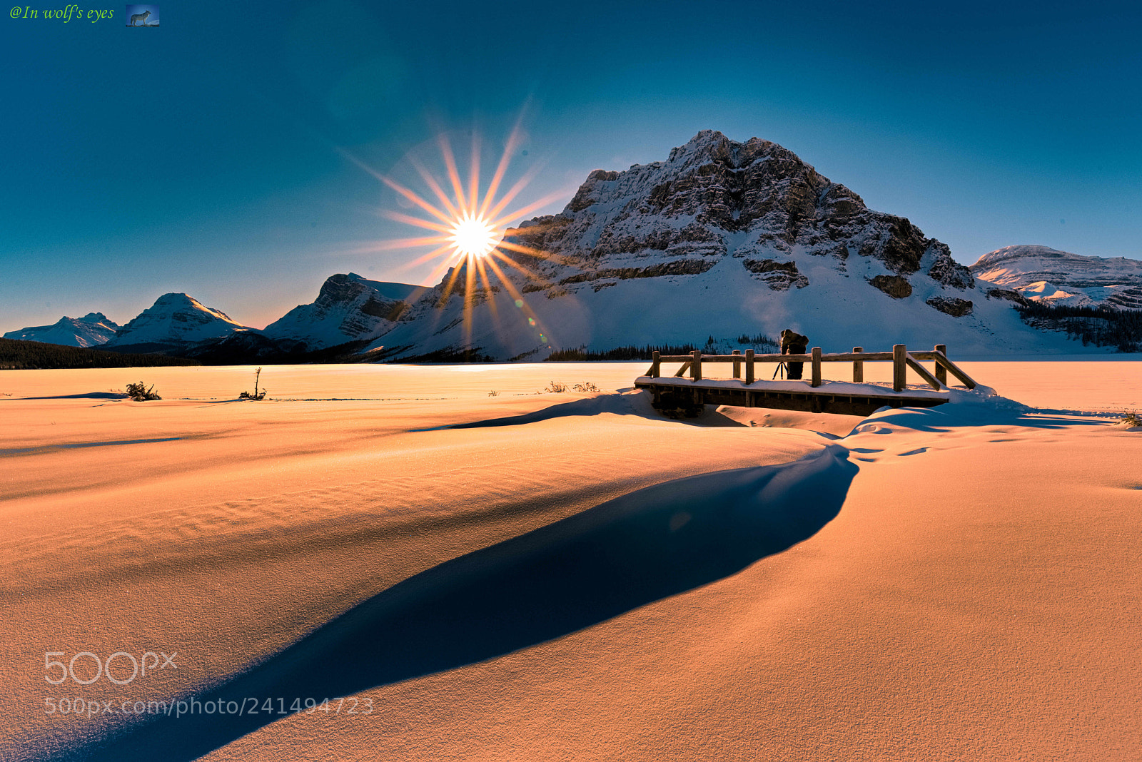 Nikon D810 sample photo. Snow dune, canada photography