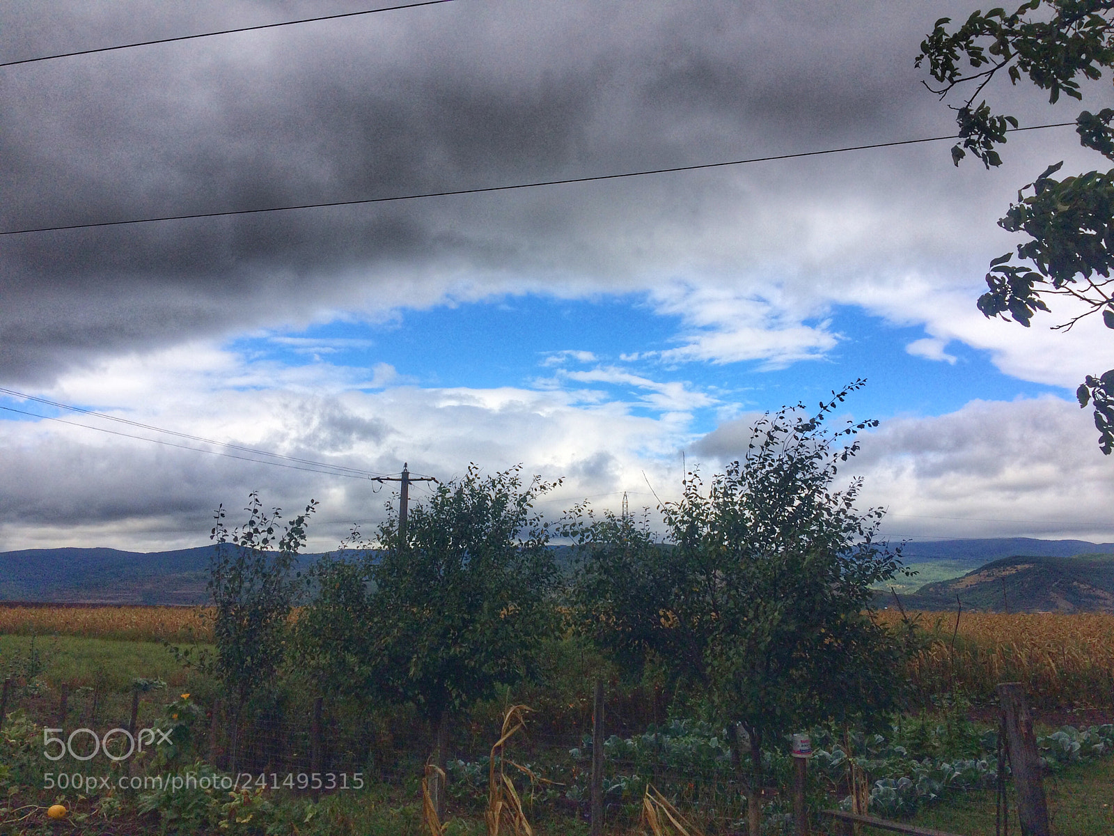 Apple iPhone 5s sample photo. Untitled photography