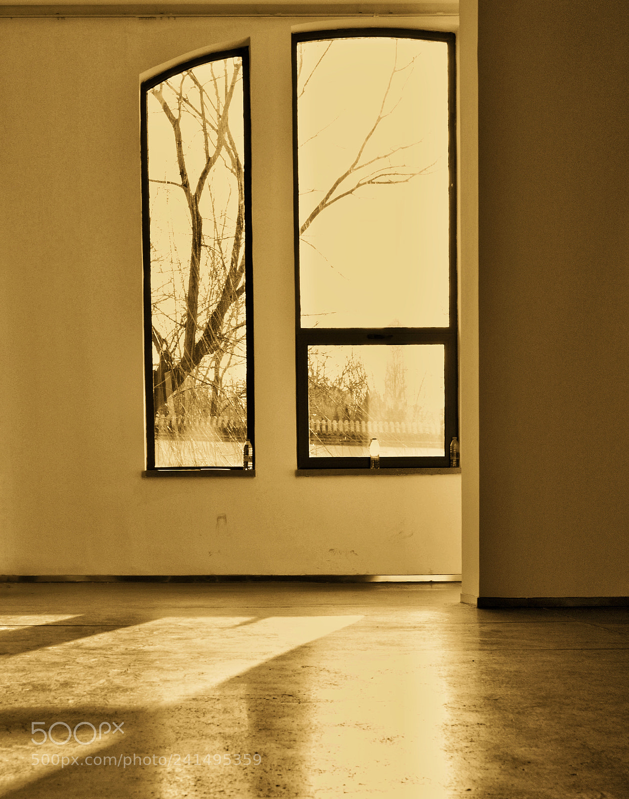 Nikon D3200 sample photo. Yellow. photography