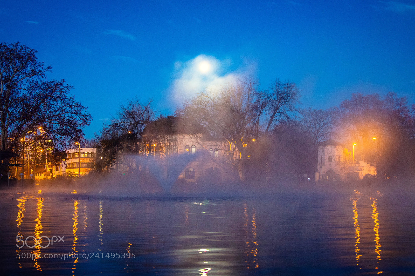 Canon EOS 750D (EOS Rebel T6i / EOS Kiss X8i) sample photo. Moonlight on the lake photography