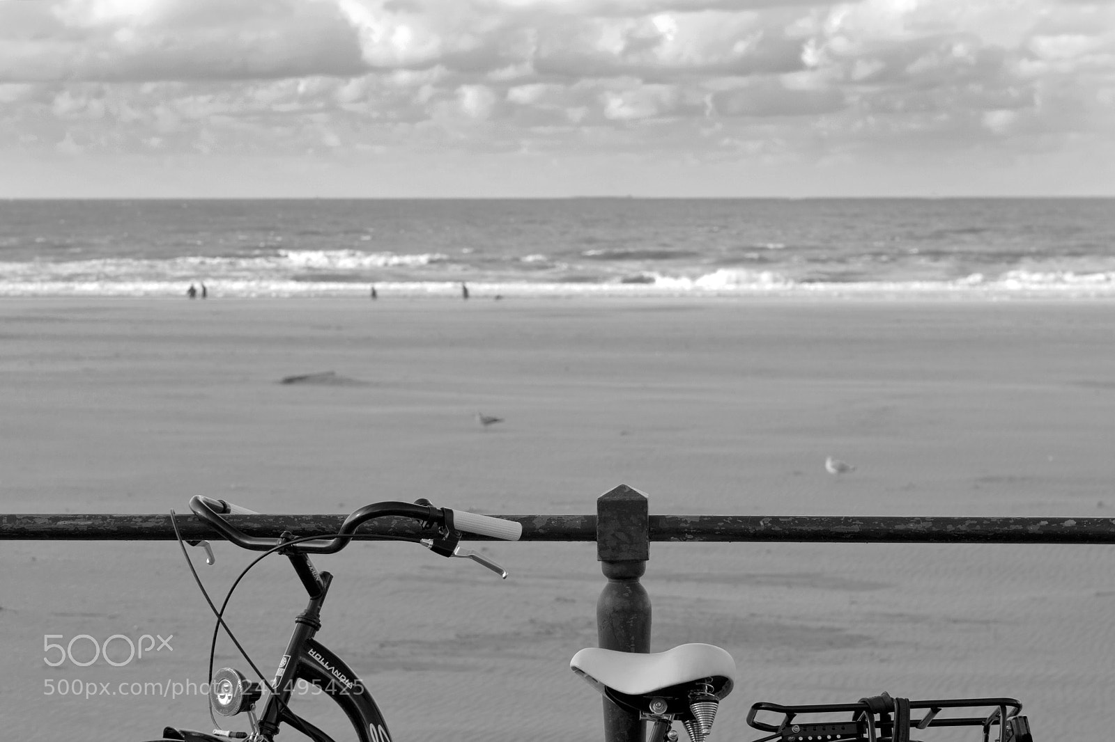 Canon EOS 40D sample photo. Cycling on the beach photography