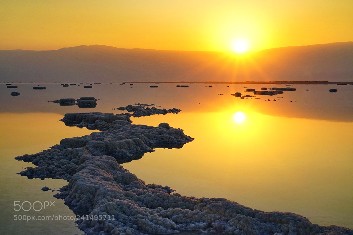 Sony a7R sample photo. Копирование photography