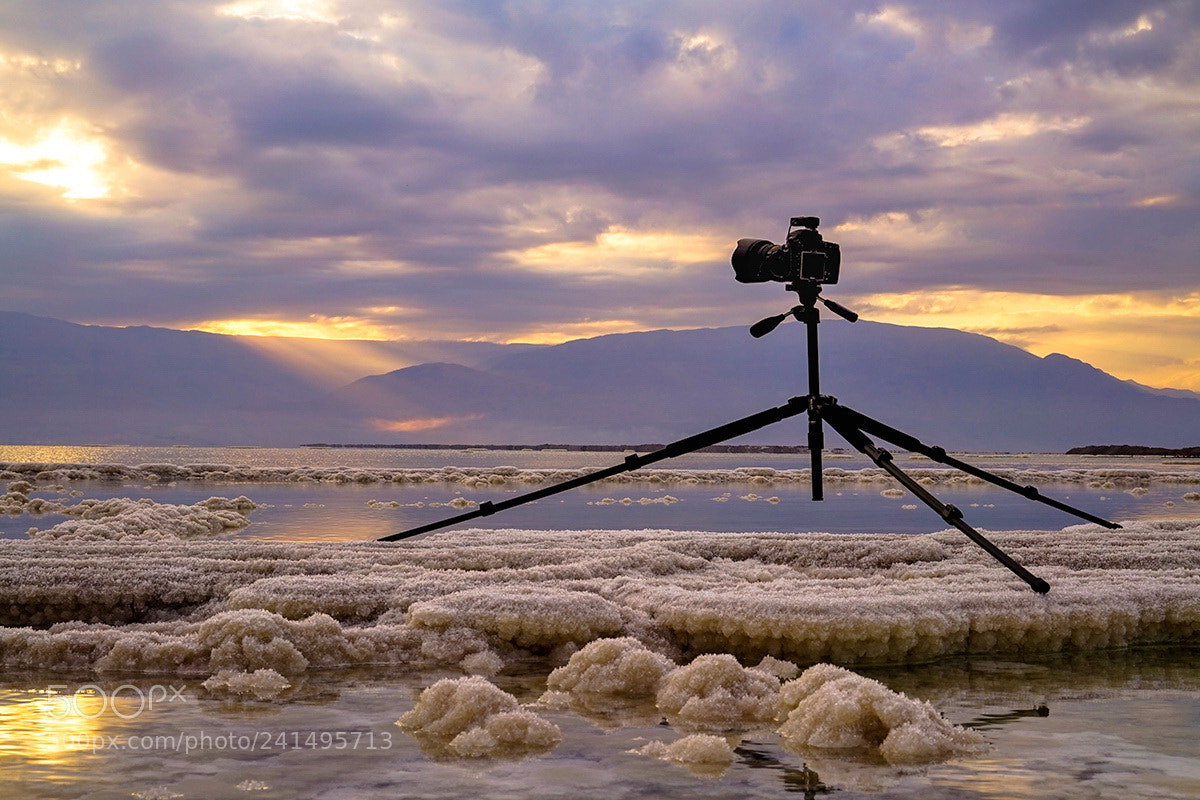 Sony a7R sample photo. без имени photography