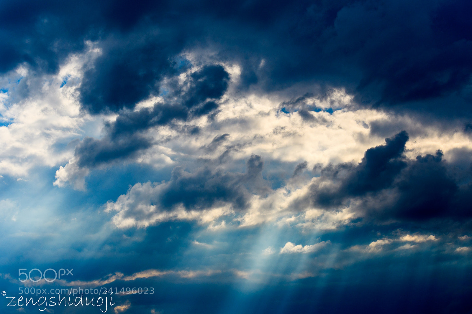Nikon D500 sample photo. 放箭 photography