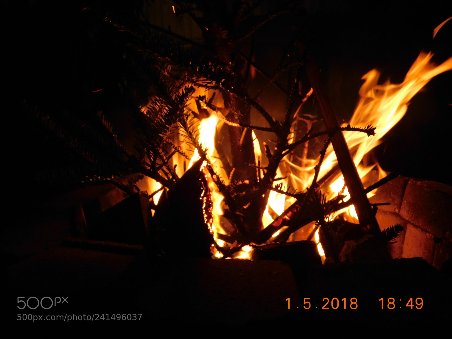 Nikon Coolpix B500 sample photo. Untitled photography