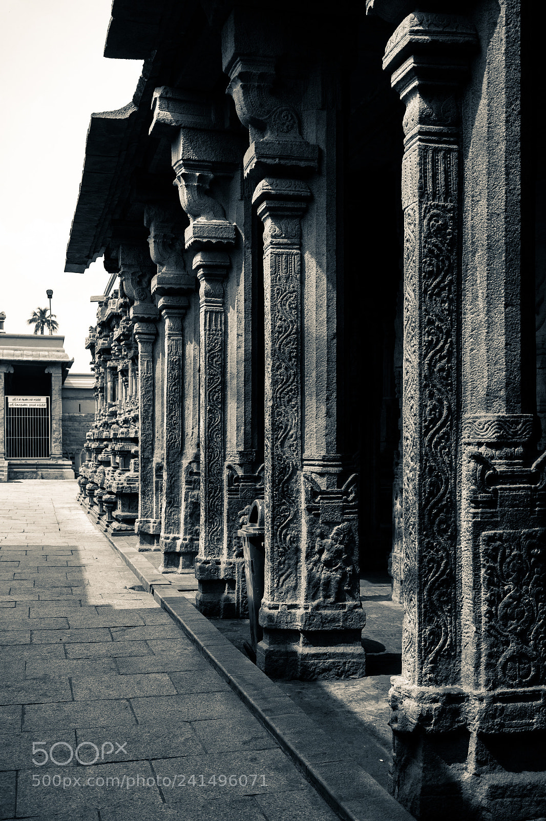 Canon EOS 550D (EOS Rebel T2i / EOS Kiss X4) sample photo. Ranganathaswamy temple columns. photography