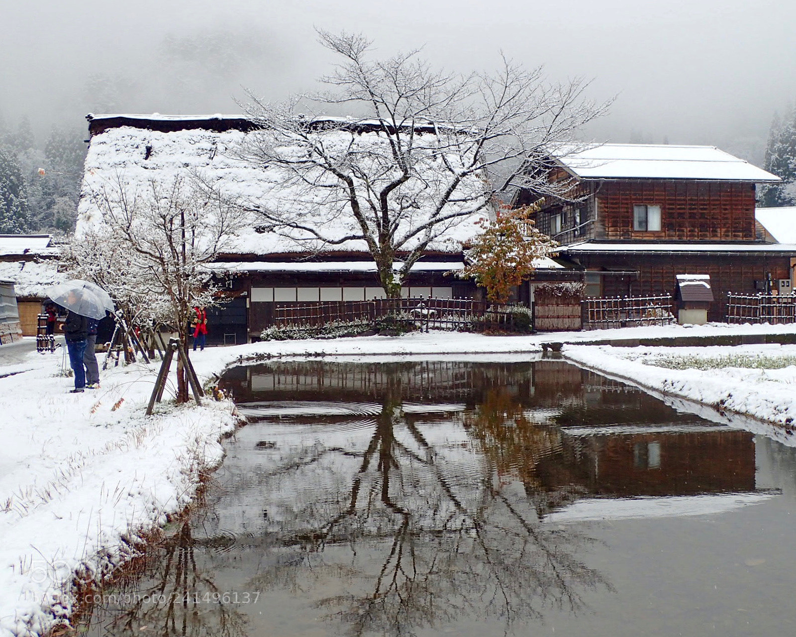 Olympus TG-4 sample photo. 白川郷 photography