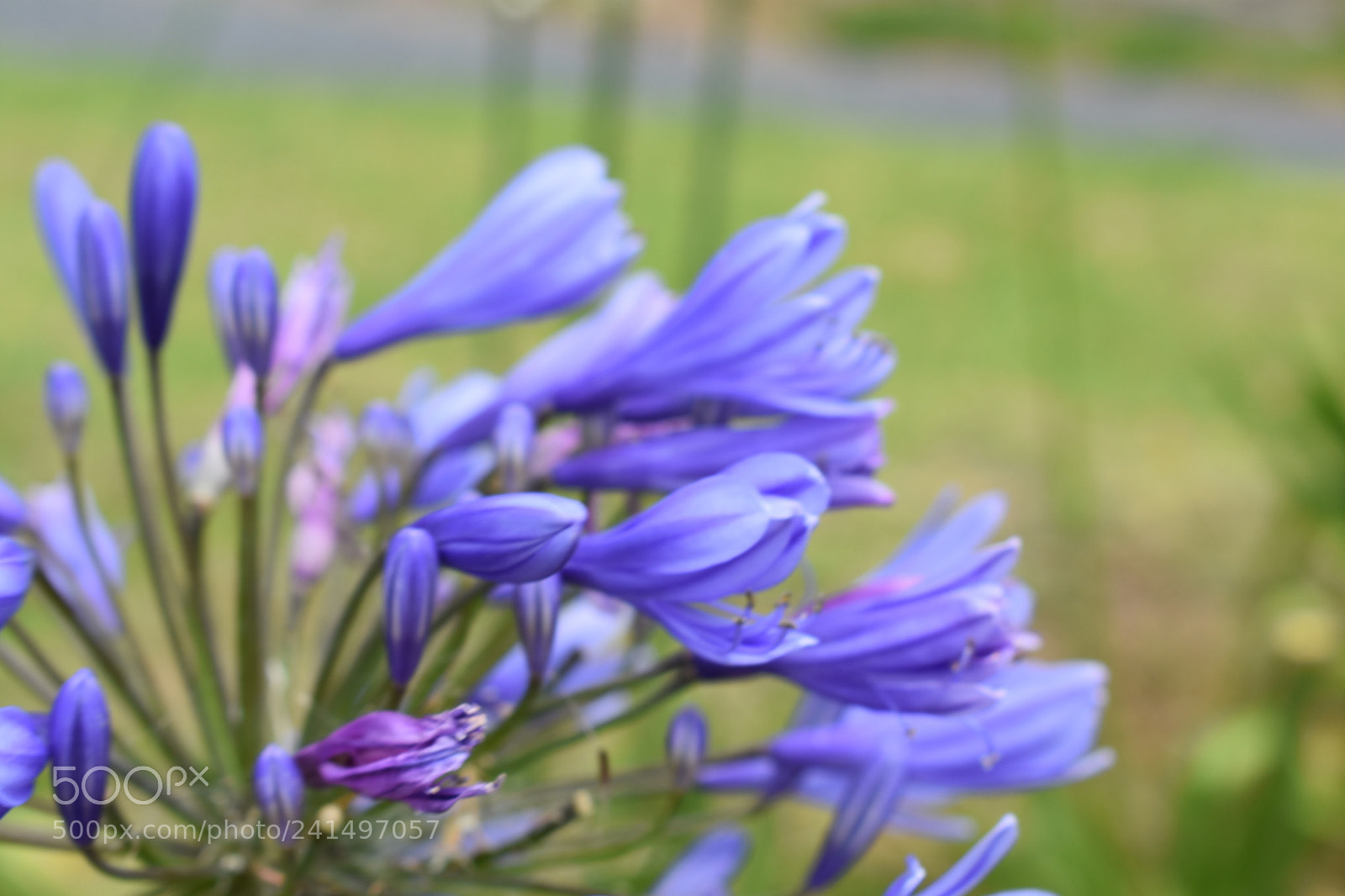 Nikon D3400 sample photo. Waiheke island photography