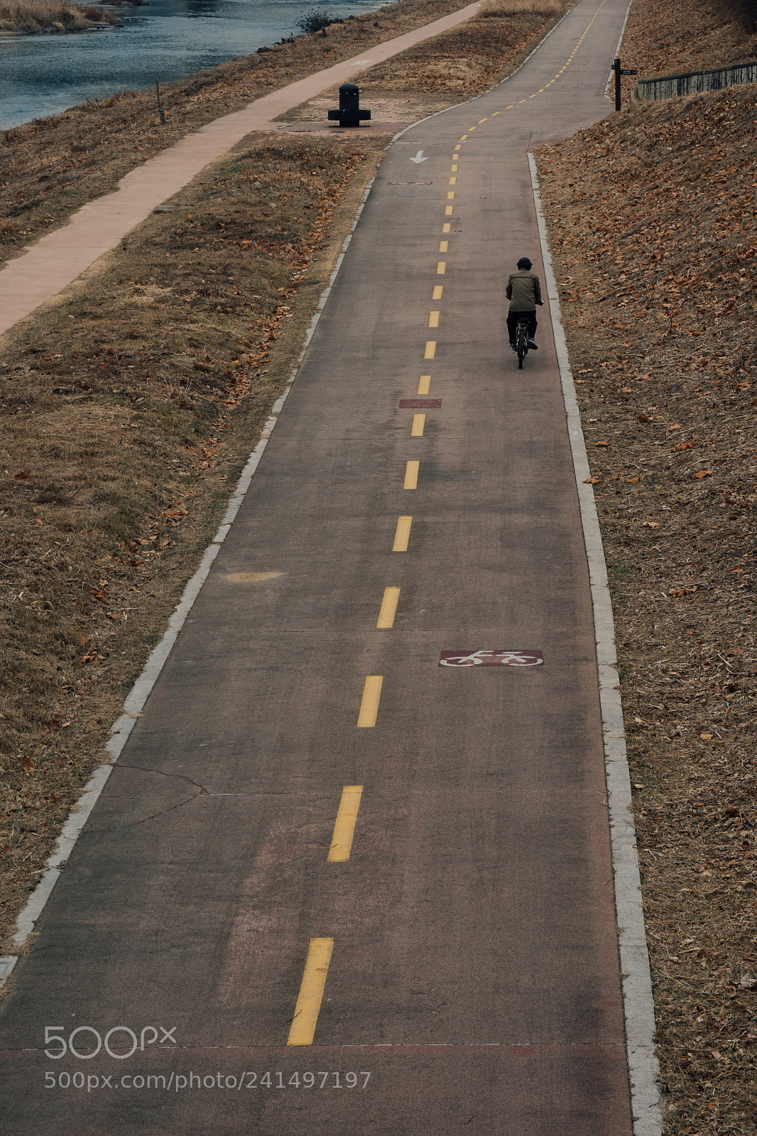Nikon D7500 sample photo. Riding calmly photography