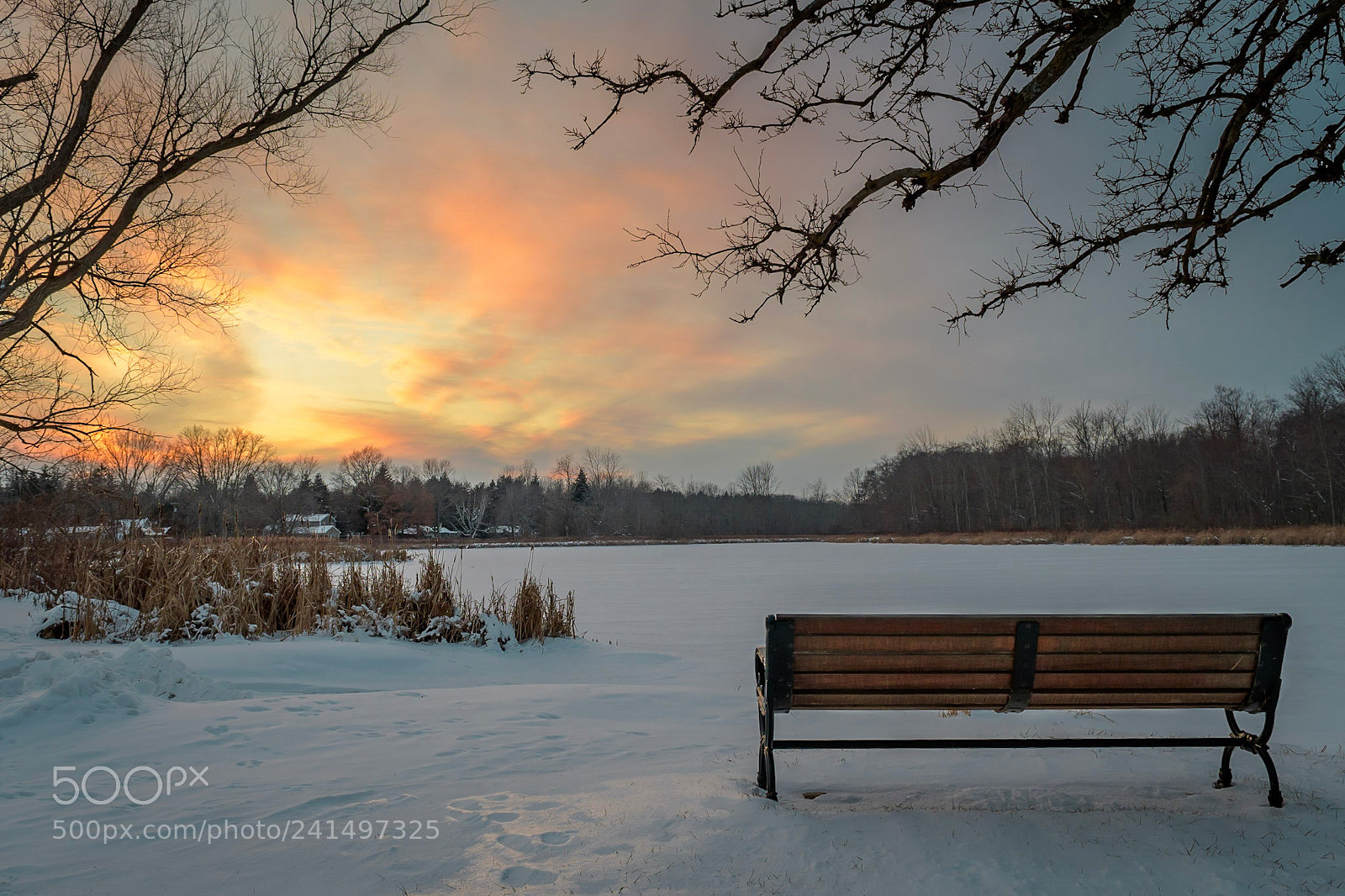Nikon D500 sample photo. Sunset spot photography
