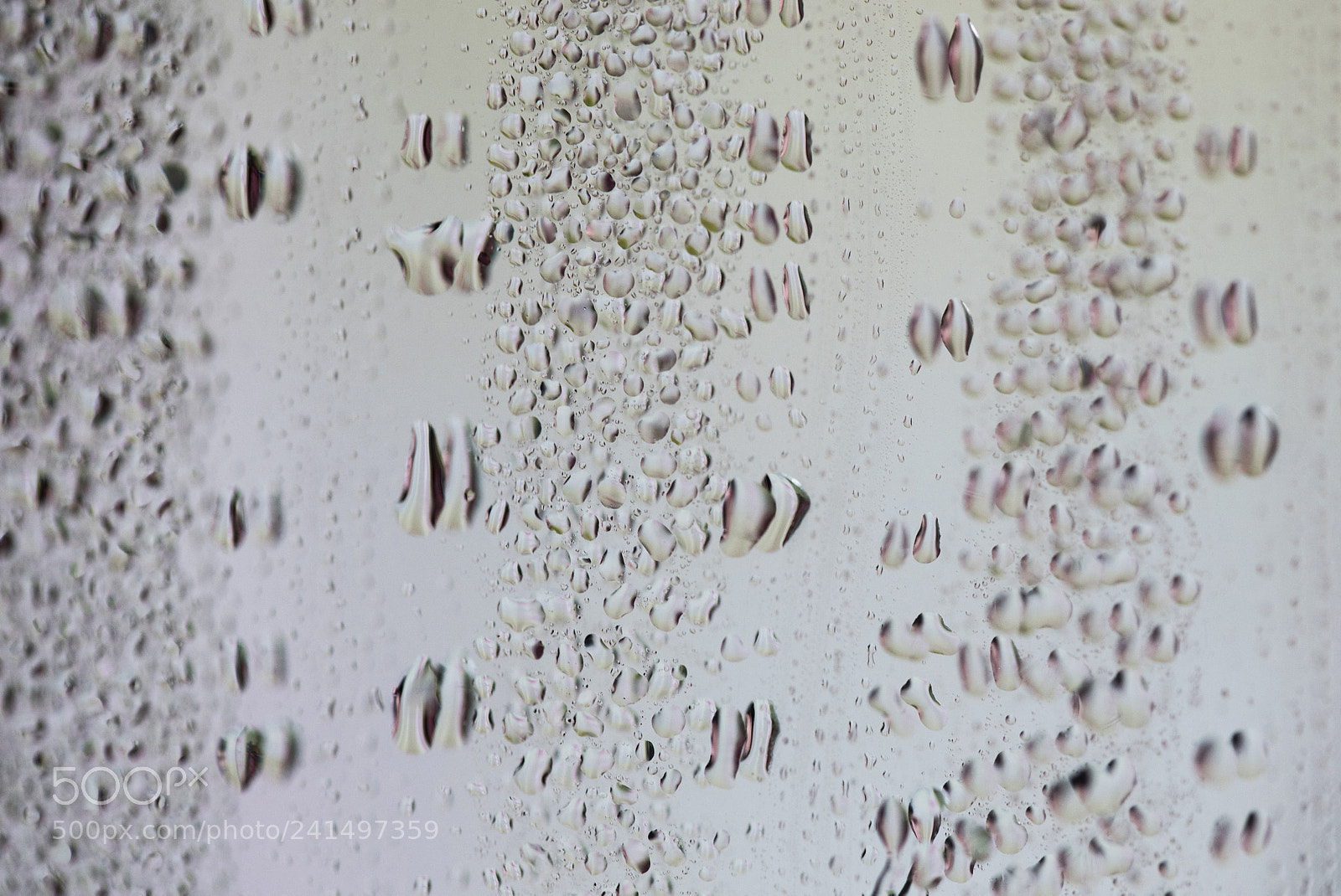 Nikon D810 sample photo. Humidity photography