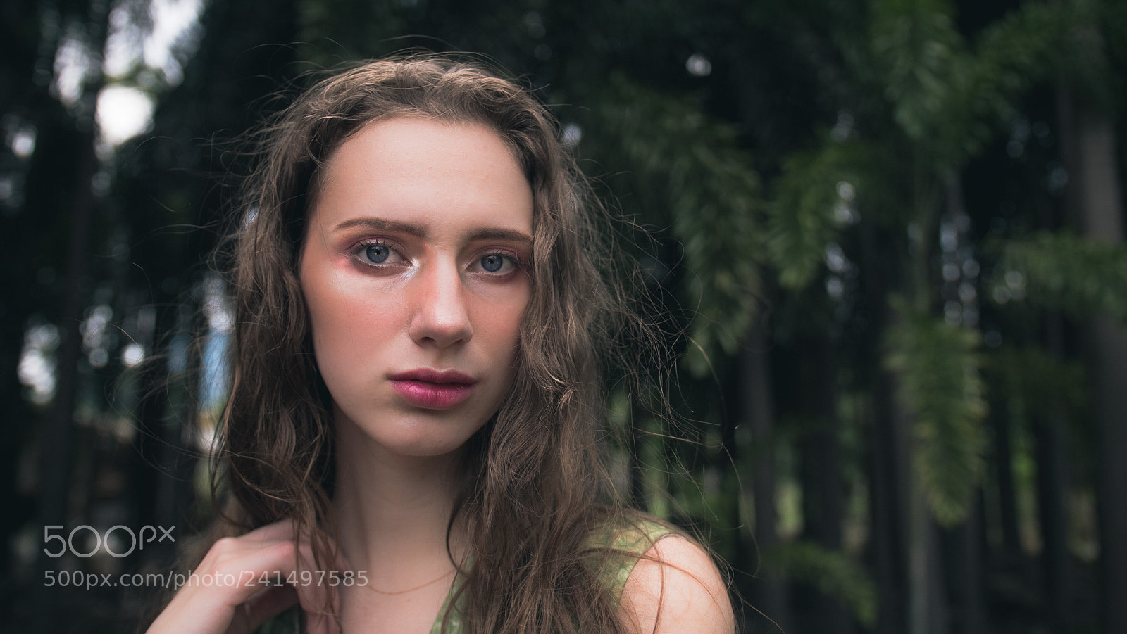 Panasonic Lumix DC-GH5 sample photo. Untitled photography