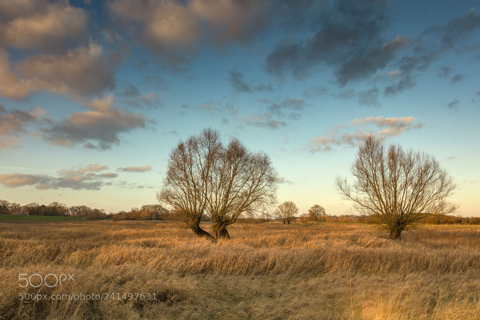 Canon EOS 5DS R sample photo. Evening light photography
