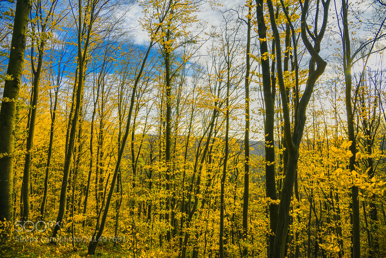 Nikon D810 sample photo. Breathing in the northern photography