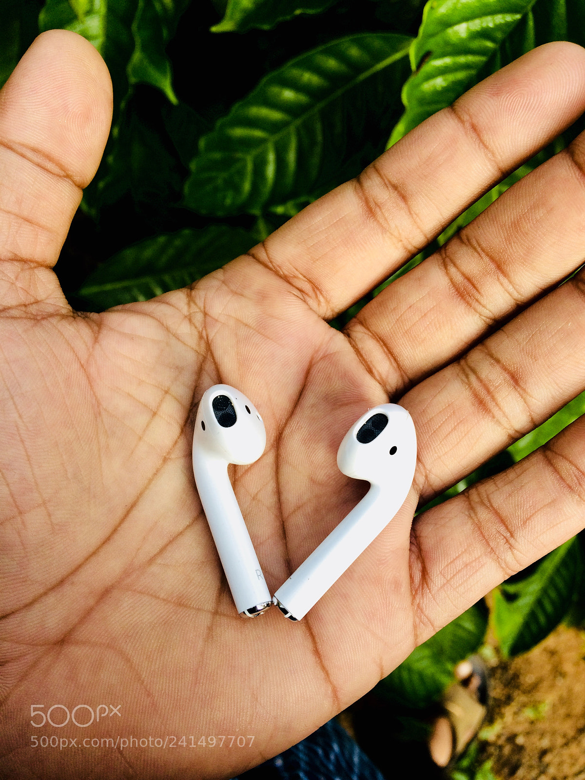 Apple iPhone 5s sample photo. Untitled photography