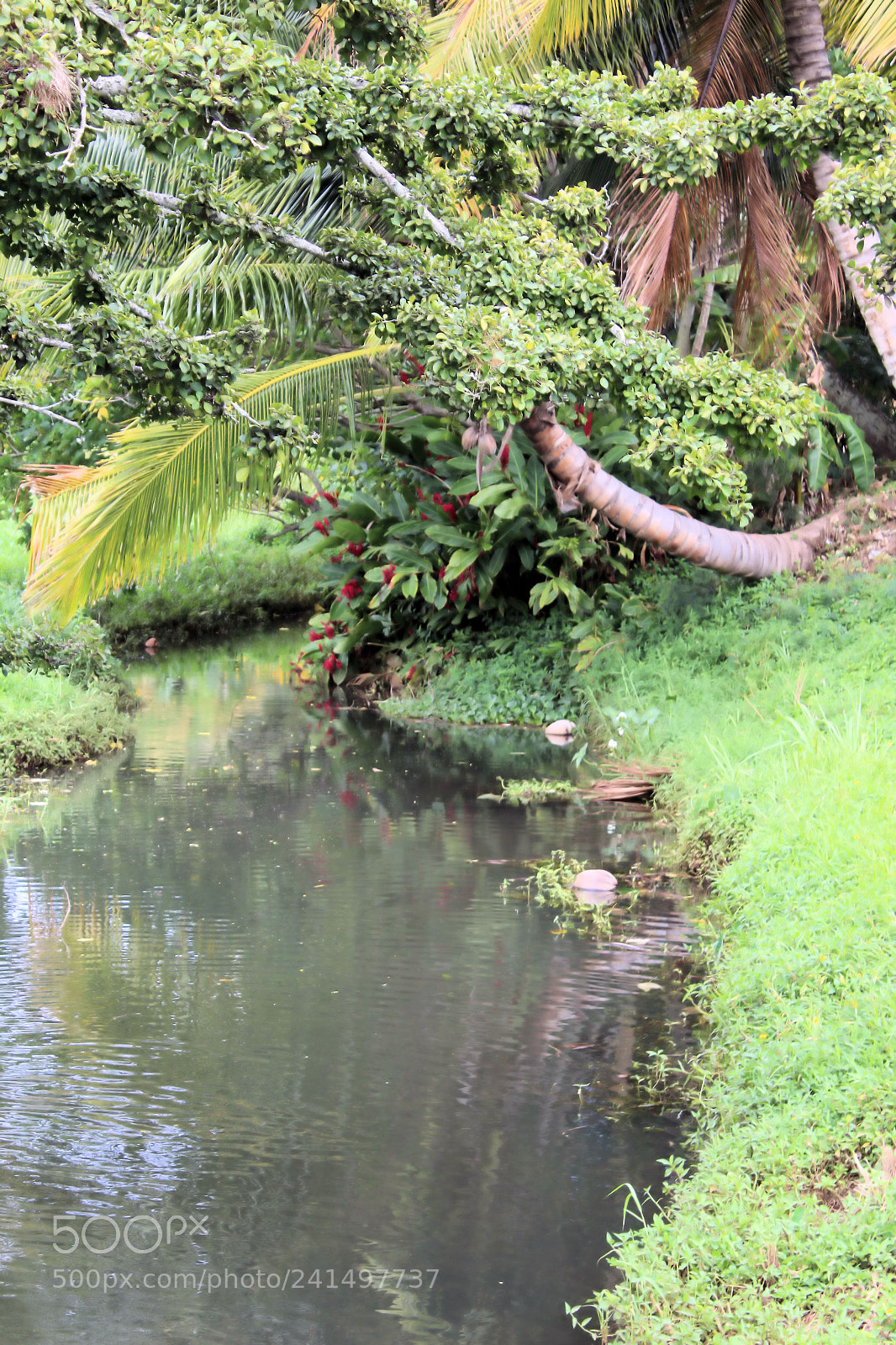 Canon EOS 1300D (EOS Rebel T6 / EOS Kiss X80) sample photo. The streams edge photography