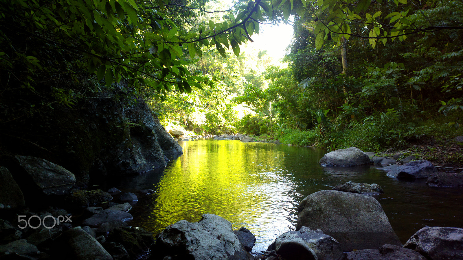 Nokia 808 PureView sample photo. Nature's spring photography