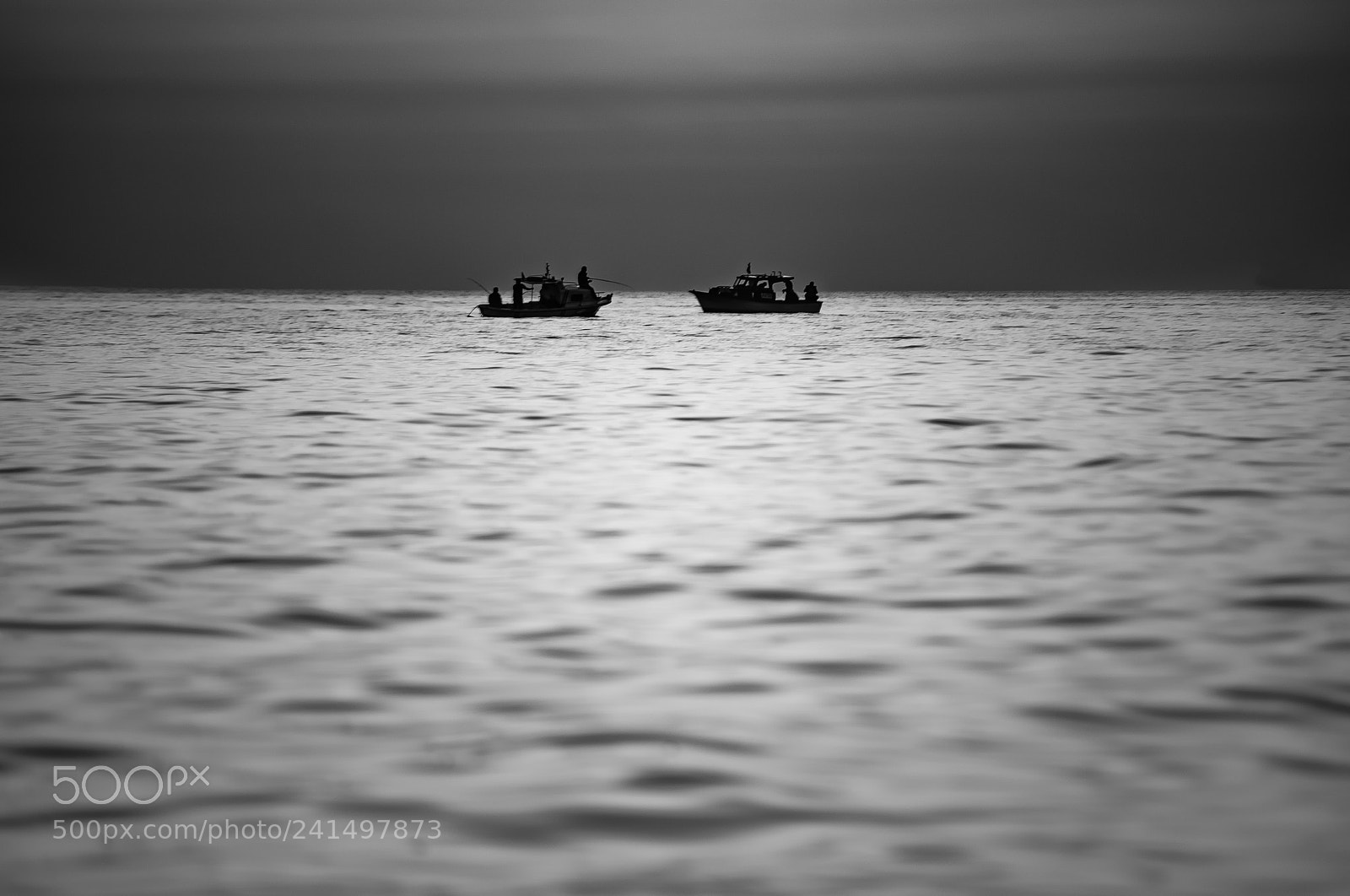 Nikon D810 sample photo. Fishing time photography