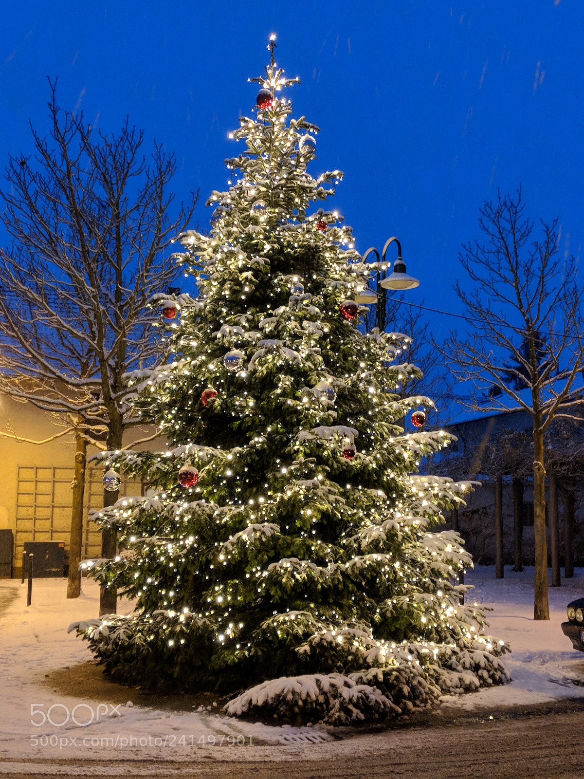 Google Pixel 2 sample photo. Weihnachtsbaum photography