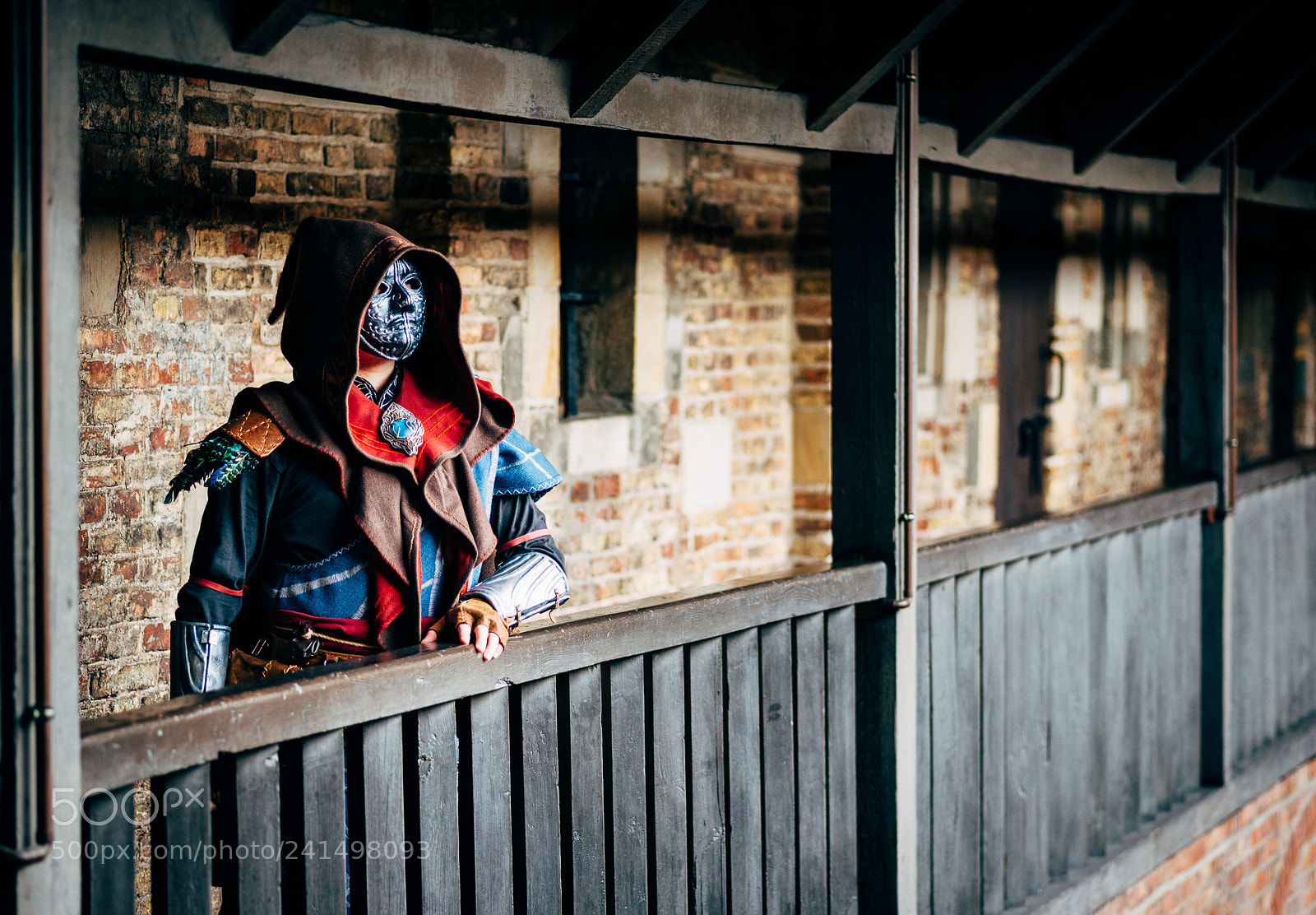 Nikon D800 sample photo. Witcher - avallac'h photography