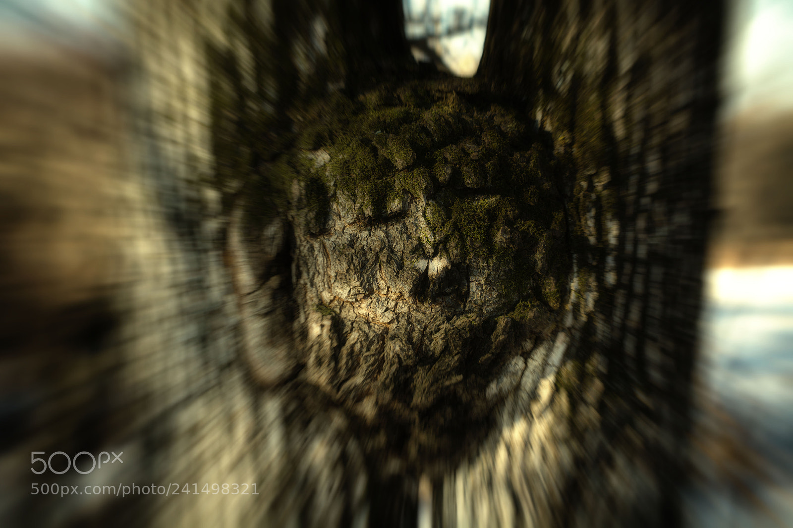 Nikon D7100 sample photo. Forest demon photography