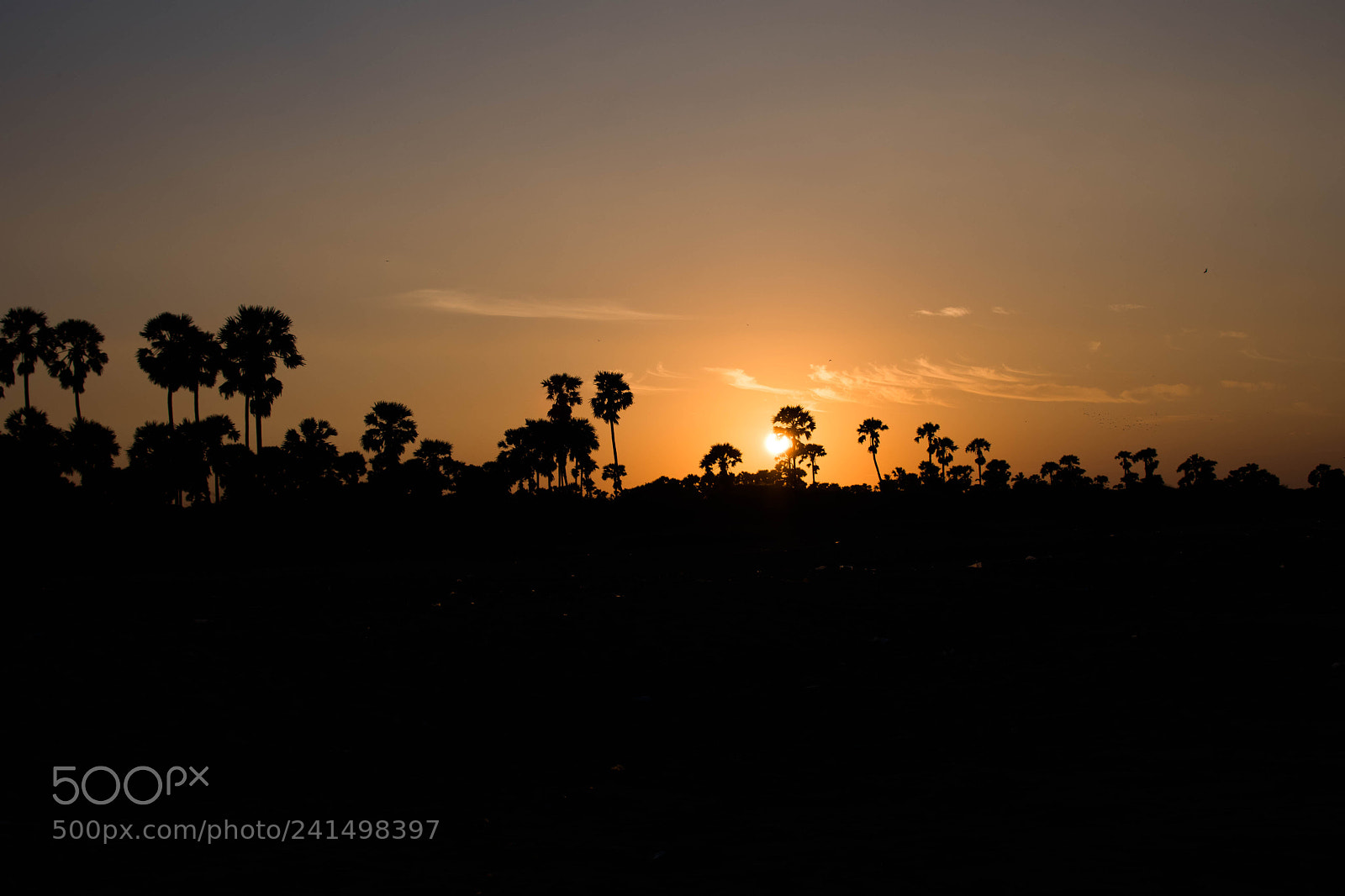 Nikon D7500 sample photo. Sunrise mannar photography