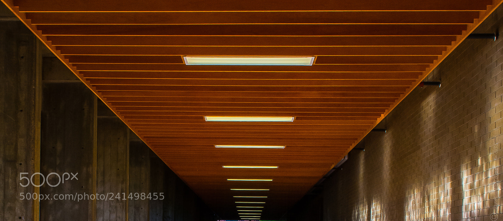 Nikon D7100 sample photo. Mckenzie hall photography
