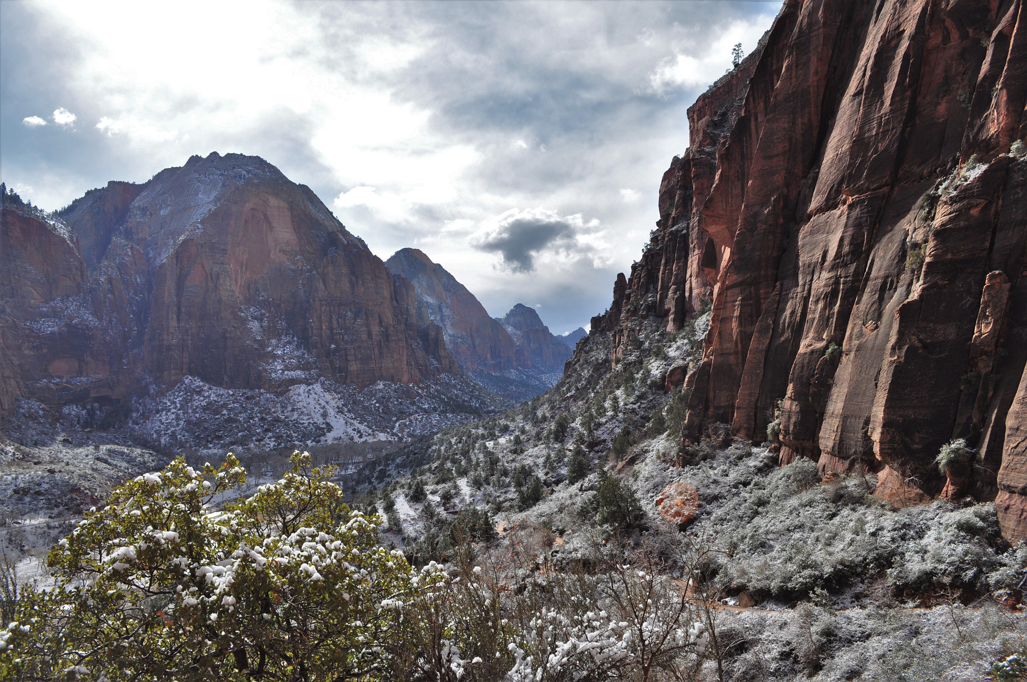 Nikon D90 sample photo. Zion photography