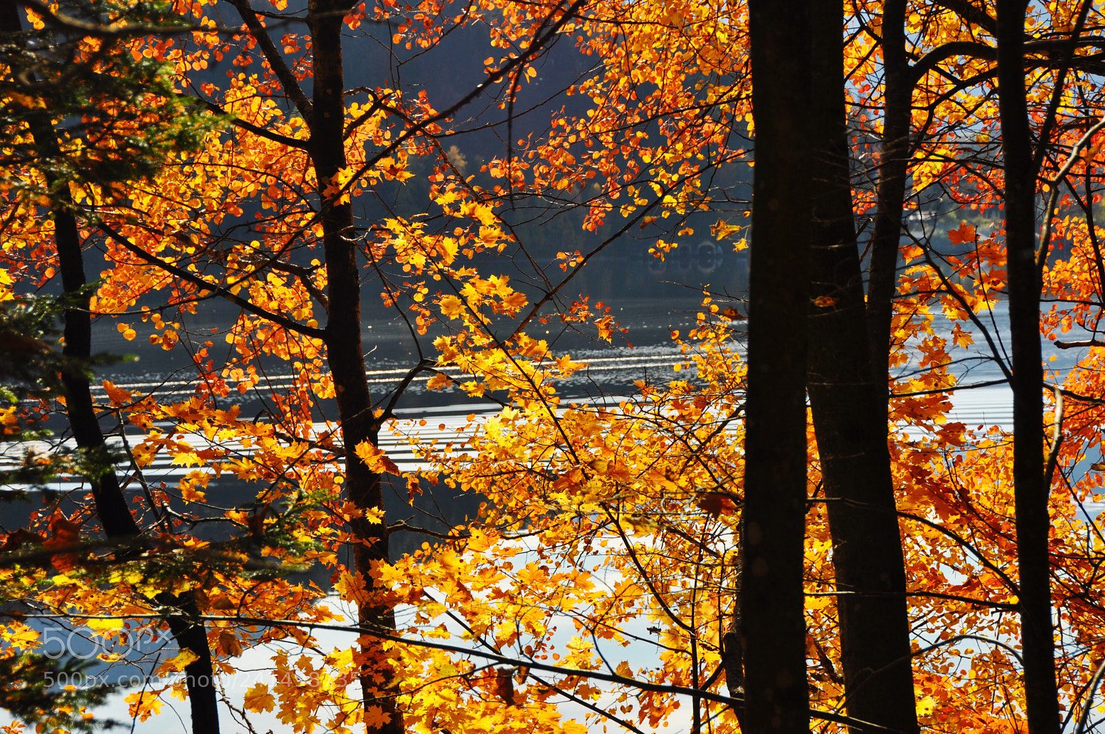 Nikon D90 sample photo. Untitled photography