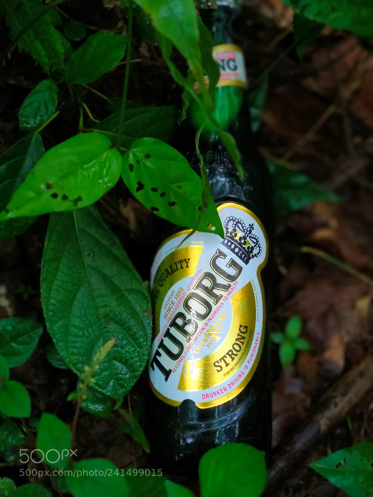 Xiaomi Mi A1 sample photo. Untitled photography