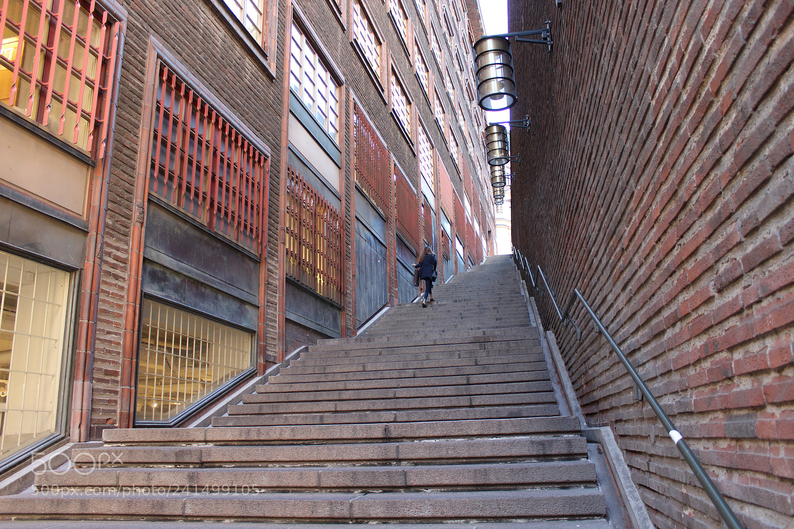 Canon EOS 1300D (EOS Rebel T6 / EOS Kiss X80) sample photo. Cat walk stockholm photography