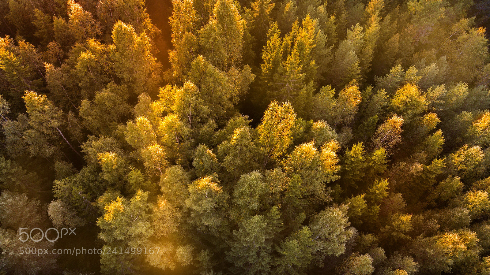 DJI FC220 sample photo. Sunset. photography